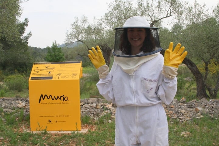 visiting honey bees