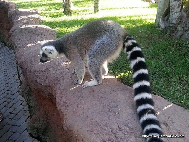 A trip to the zoo is a great thing to do in May in Malaga