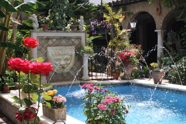 Exploring the private patios at the annual Cordoba patio fair. 