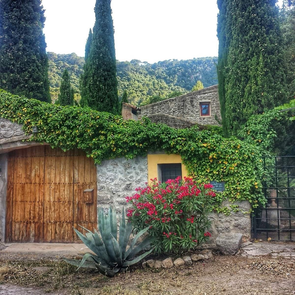 Valldemossa Mallorca