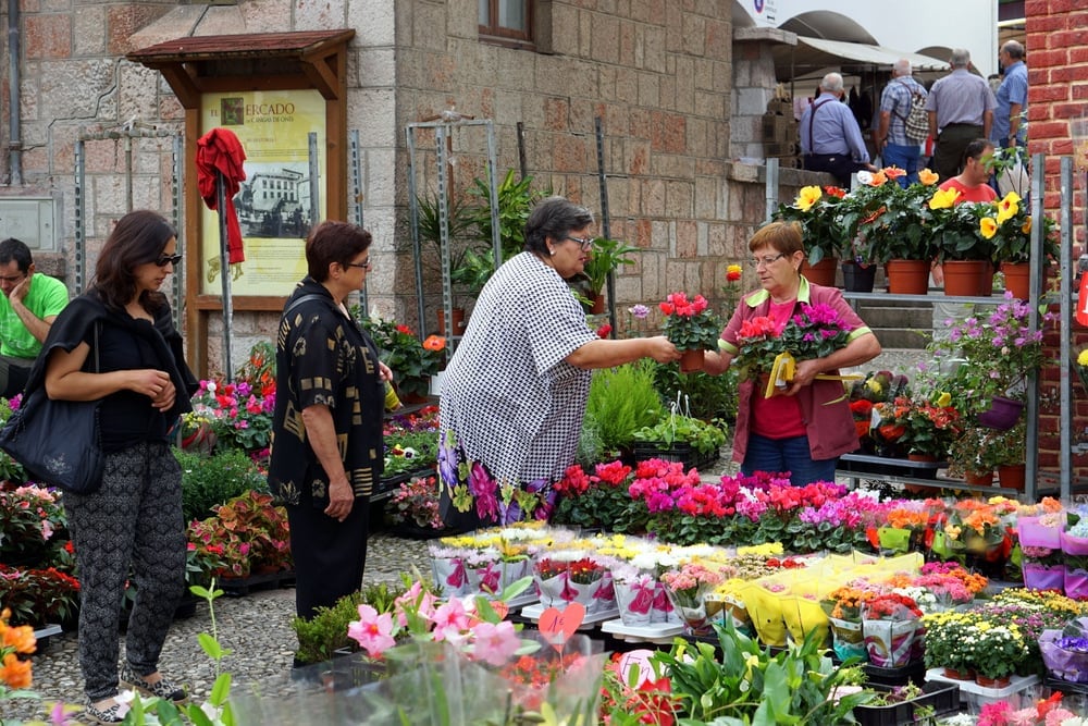 Visiting the Sunday market in Cangas de Onis on our roadt trip through Northern Spain.