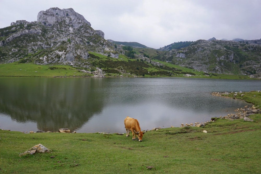 Taking a road trip through northern Spain: the Covadonga Lakes are a must!