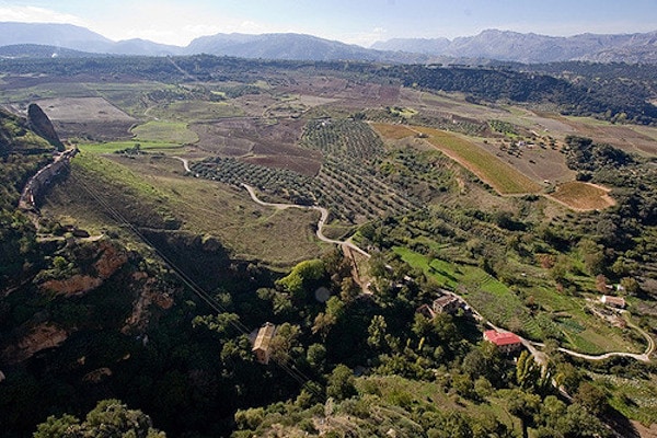 The Vineyards in Ronda are a great option for a weekend getaway from Malaga