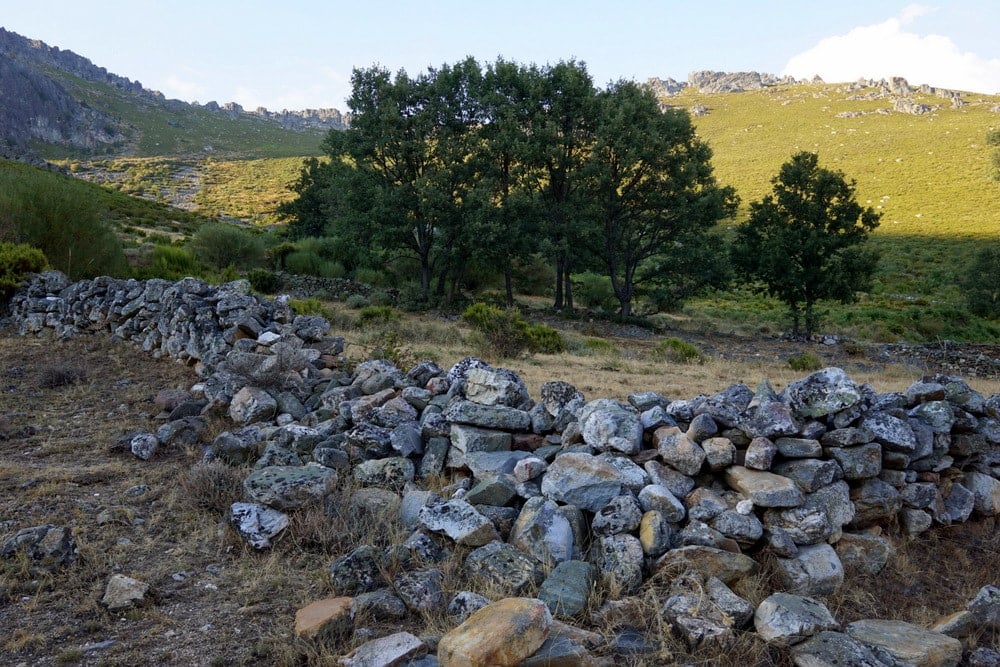 Pozos, Leon