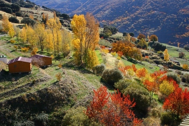 The Sierrra Nevadas make for the perfect fall weekend getaway from Malaga! Gorgeous fall colors and cozy cabins! 