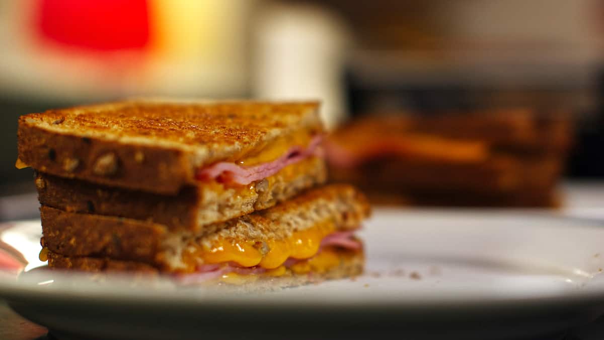 Grilled ham and cheese sandwich on a white plate