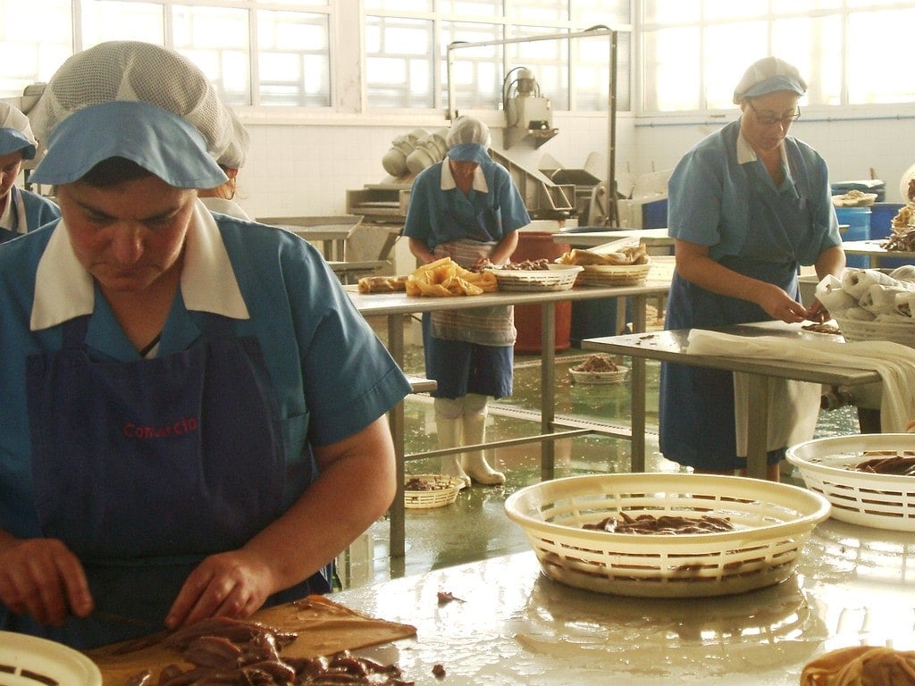 Preparing anchovies for salting in Santoña, Cantabria.