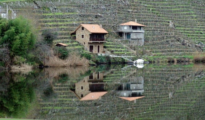 Ribeira Sacra wine