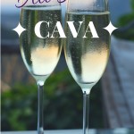 What is Spanish Cava? Is it any different from Champagne? If you're planing to buy Spanish bubbly, here are the tricks you need to know!