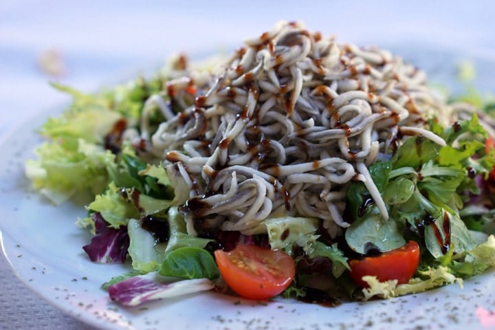 Baby eels in Spain