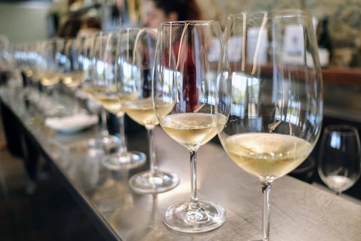 Several glasses of sparkling cava lined up on a bartop.