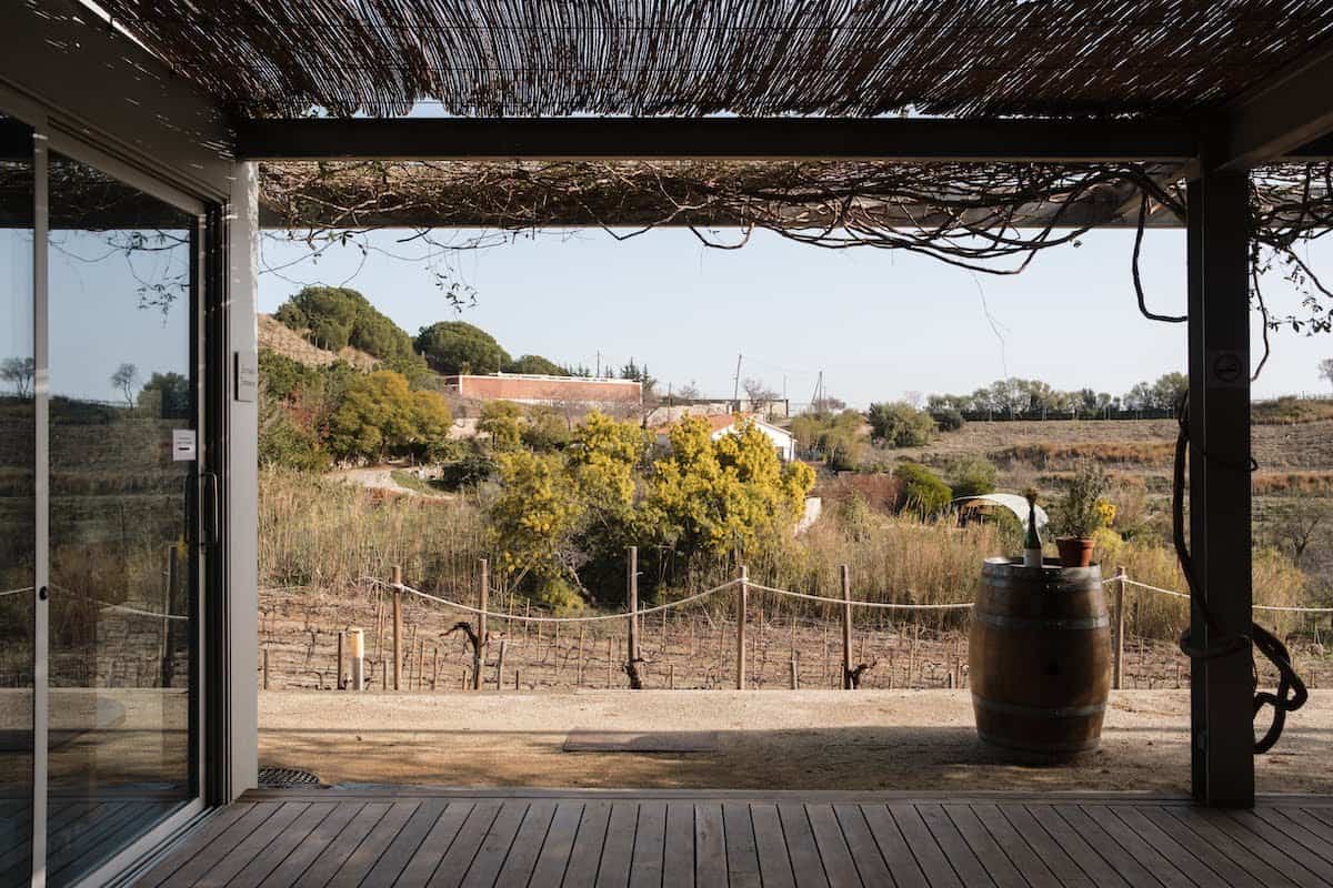 View of a vineyard taken from inside a semi-exterior structure with a roof overhead.