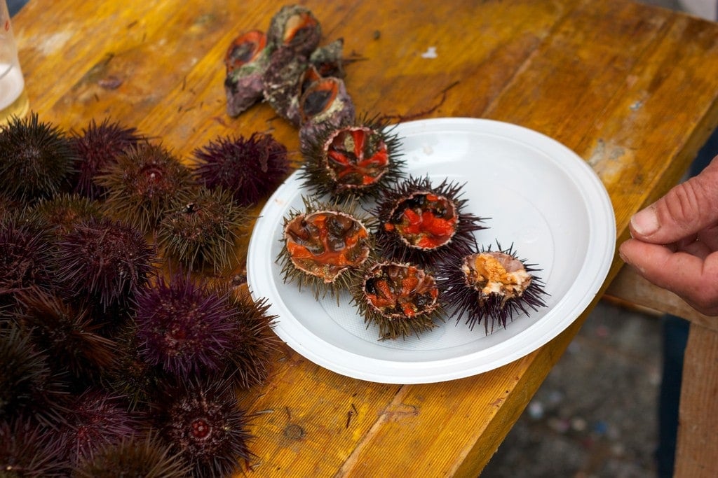 Slurping down sea urchins is one of the food experiences in Spain on my bucket list!