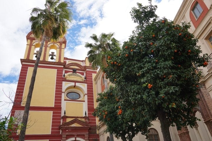 Malaga city tour