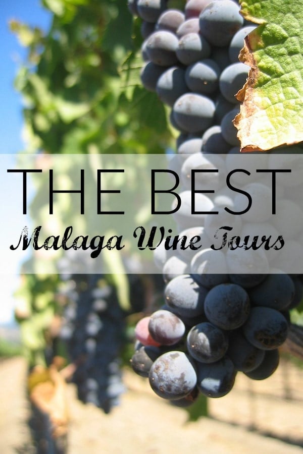 wine tours malaga