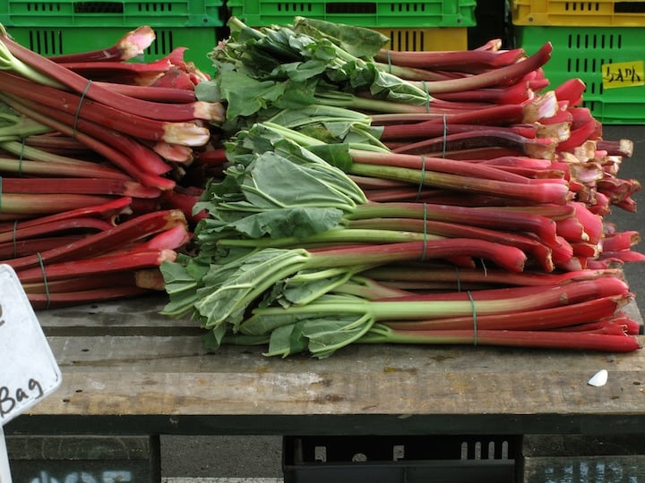 French rhubarb