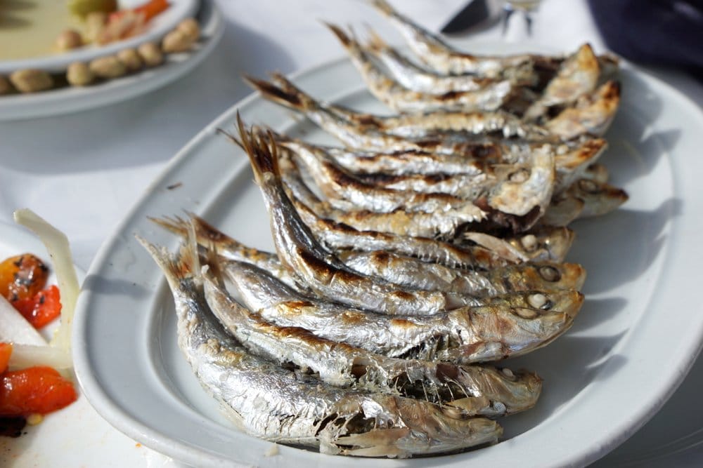 A large platter of whole grilled sardines in a row.