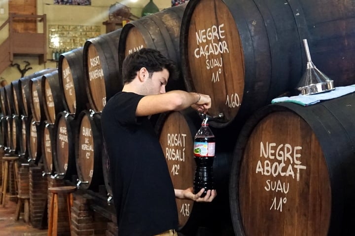 A man filling a large plastic bottle with vermouth from one of several big wooden barrels.