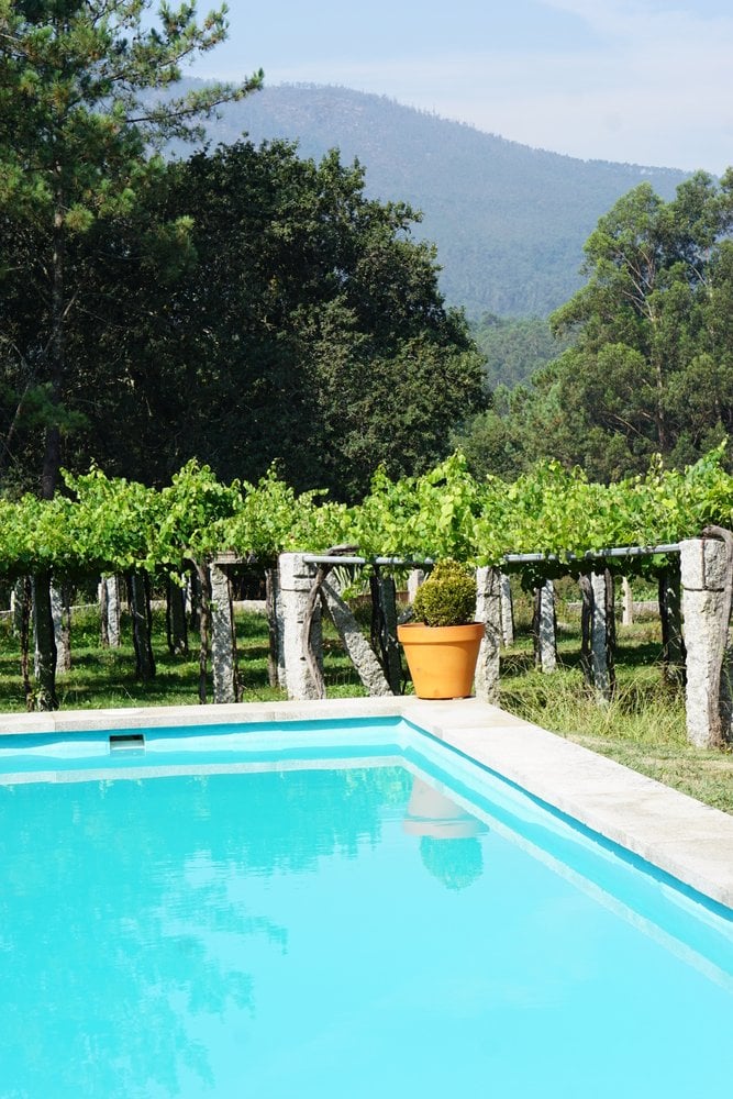 The gorgeous pool at Os Areeiros with views of the family vineyards.