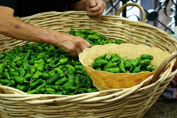 At the best market in Santiago, you can find lots of fresh produce like this.