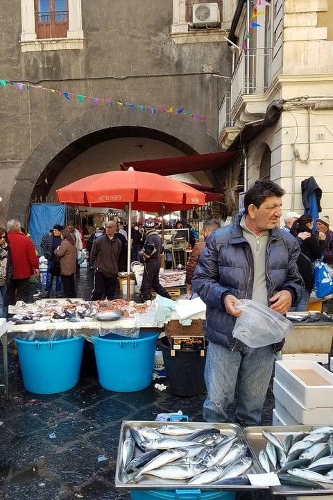 The incredible Catania fish market on the Catania food tour.