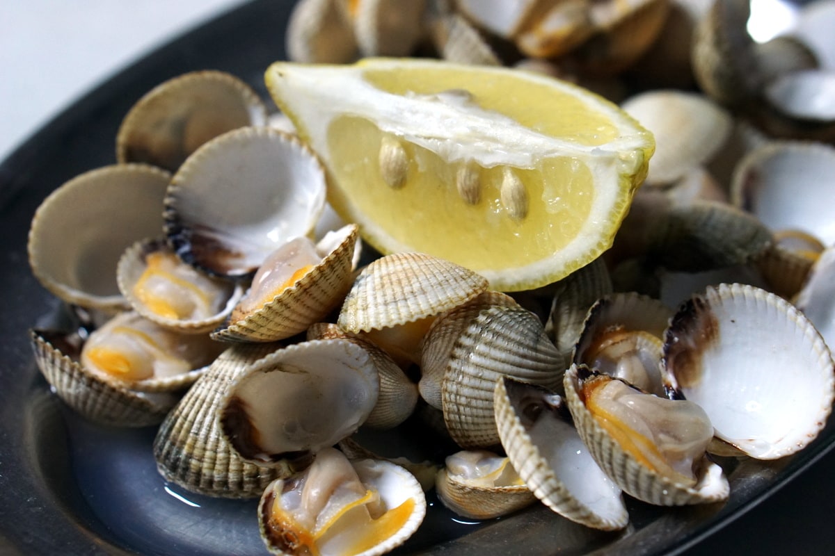 Eating gluten free in Santiago de Compostela is easy with its abundant selection of fresh seafood and shellfish!