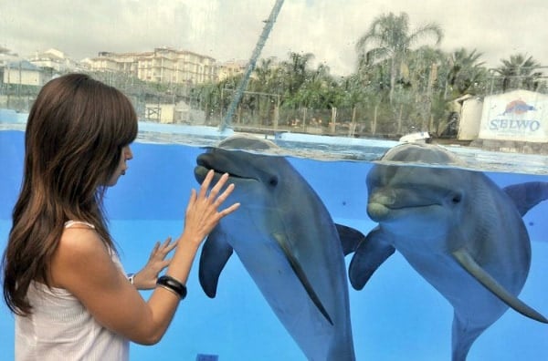 A girl stands by an aquarium with two dolphins on the other side of the glass. 