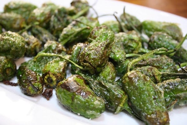 Close-up of a plate of bright green, slightly blackened and shriveled Padrón peppers after being fried.