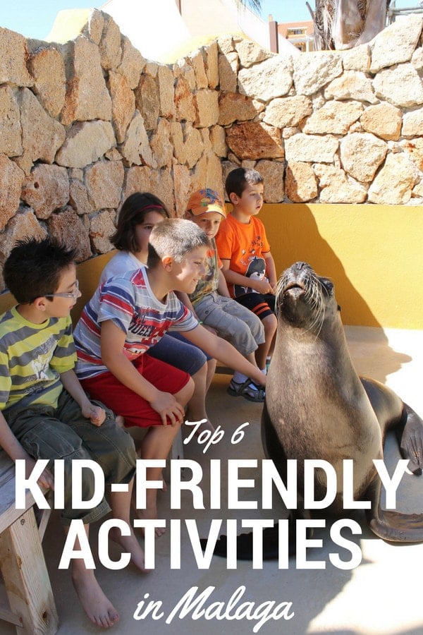 Five kids sit on a bench in front of a large seal, who one of them is petting.