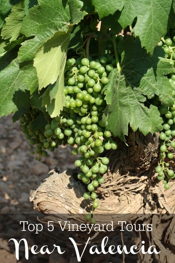 vineyard tours valencia