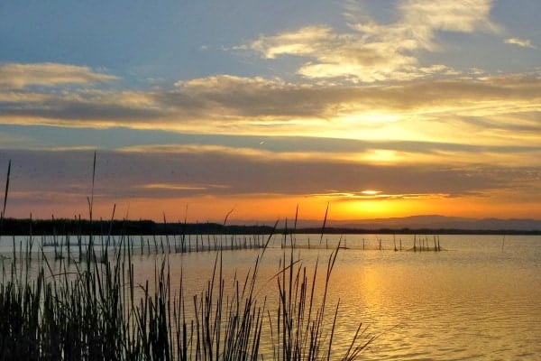 One of our favorite day trips from Valencia is Albufera Natural Park, the birthplace of paella!