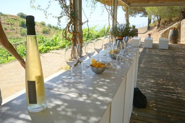 Vera de Estena is one of our favorite vineyard tours near Valencia!