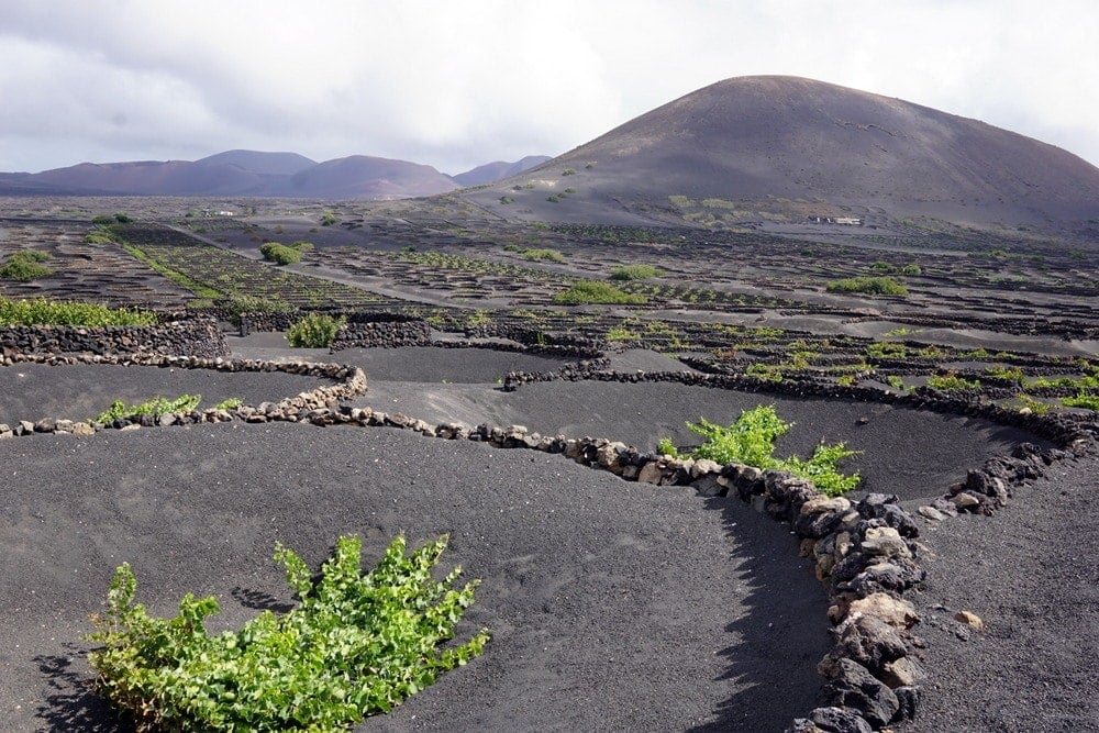 eco tourism lanzarote