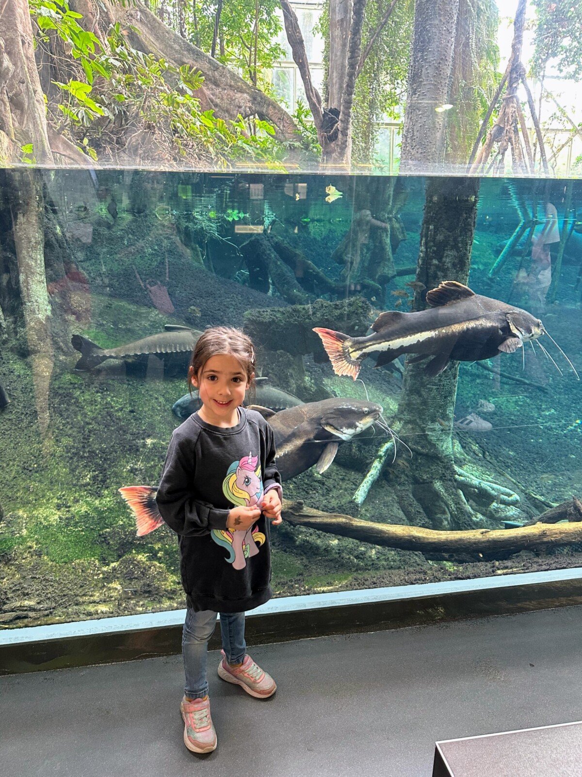 Kid by the fish tank at Cosmo Caixa in Barcelona