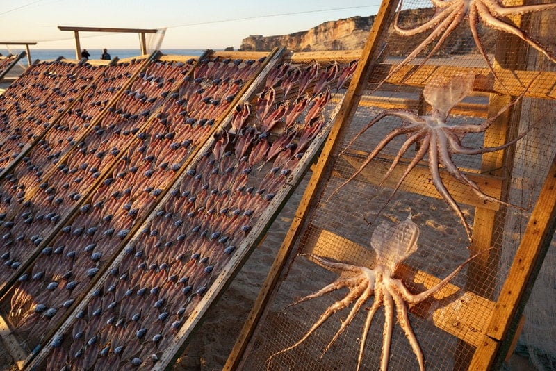 Fish drying Nazare visit Central Portugal