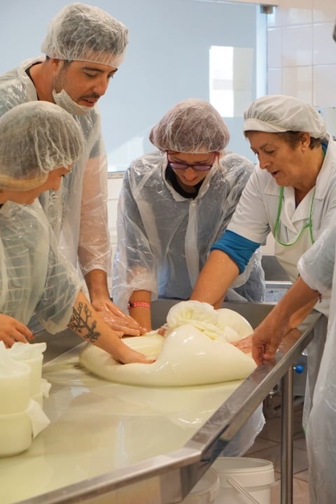 A cheese making workshop at the Parador Casa da Insua. Serra da Estrela cheese