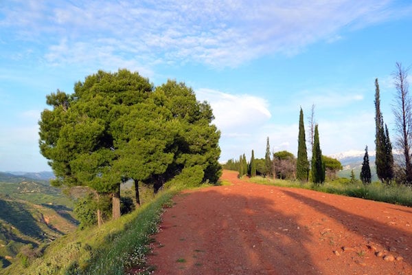 The Dehesa del Generalife is one of the best parks in Granada. The views from Silla del Moro will take your breath away!