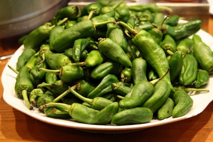 Best Padrón Peppers Recipe - How to 