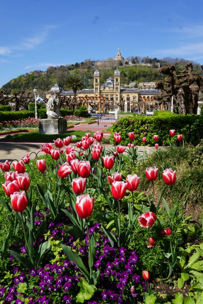 A garden full of tulips and statues, with San Sebastian's stately city hall in the background