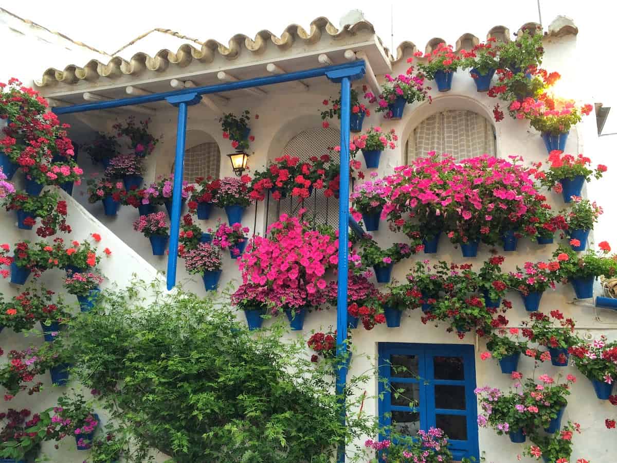 An interior blue and white courtyard decorated with pink flowers and plants.