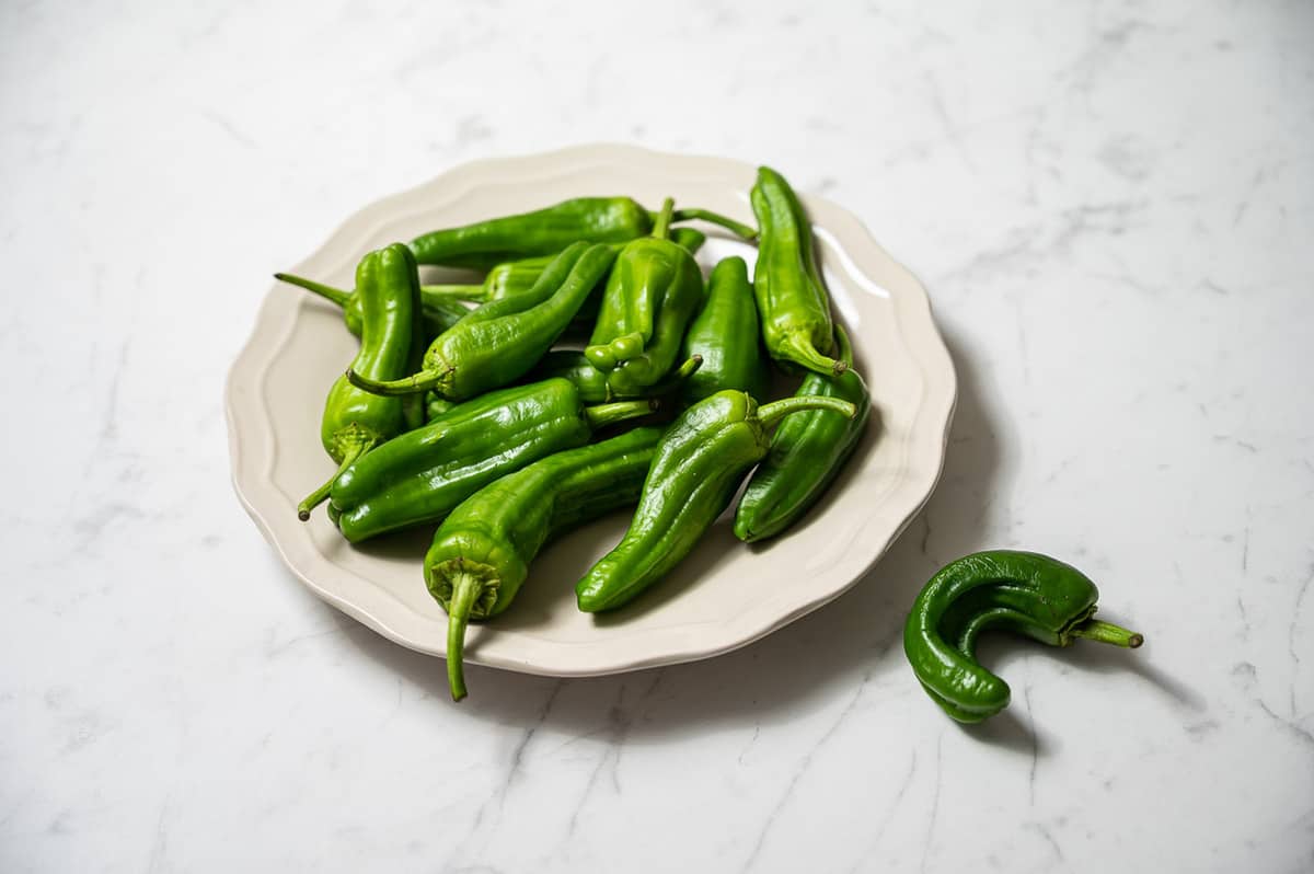 Raw padron peppers on a white plate