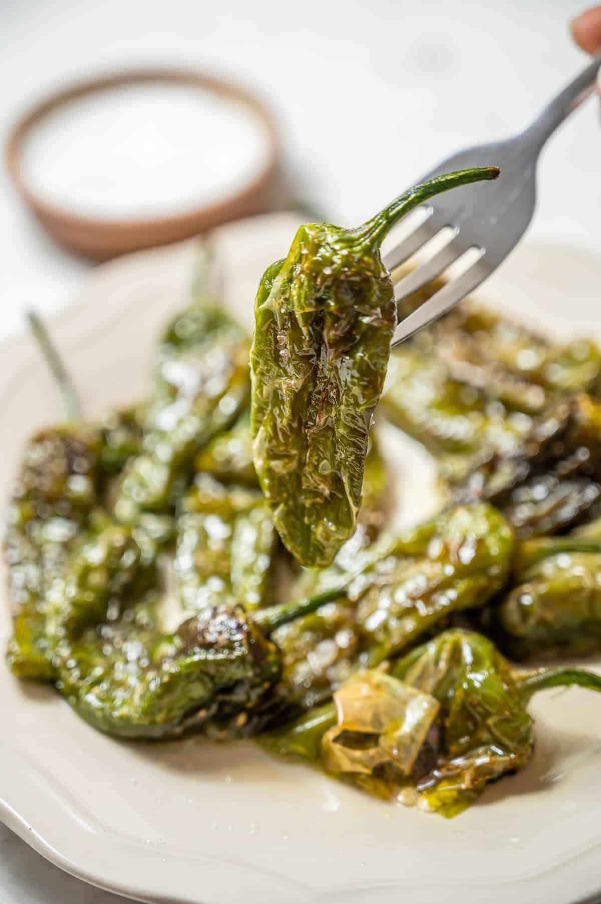 A plate of fried green Padrón peppers, with one pepper hanging from a fork.