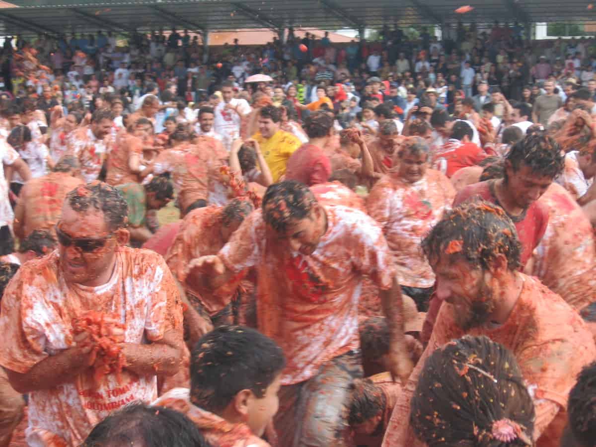 A crowd of people throwing tomatoes at each other during the Tomatina tomato fight.