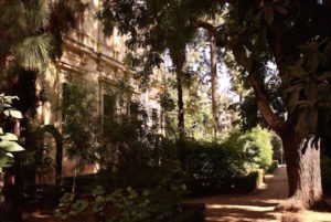One of our favorite parks in Granada is the small botanical garden that belongs to the university.