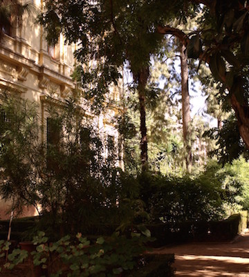 One of our favorite parks in Granada is the small botanical garden that belongs to the university.