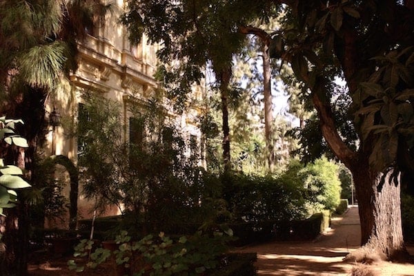 One of the best parks in Granada is the small botanical garden that belongs to the university. 