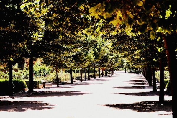 One of the most popular parks in Granada (for good reason) is Parque Federico García Lorca. It's especially nice for families!