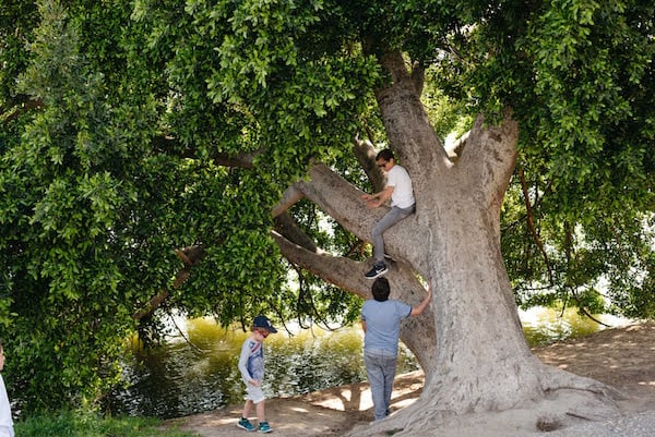 Seville with kids - playing in the park