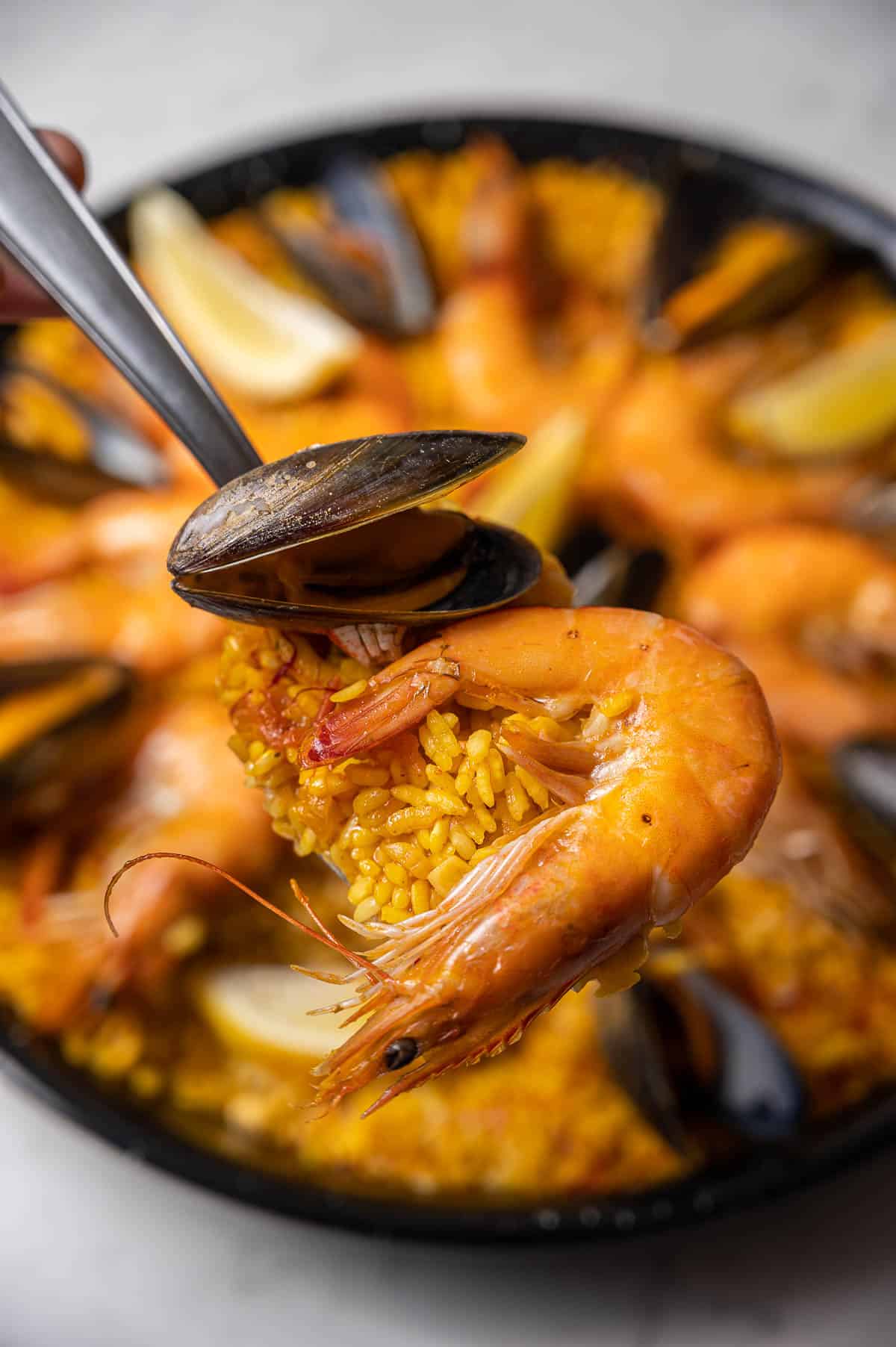 Close up of a spoonful of seafood paella with shrimp and mussels with the rest of the paella in the background.