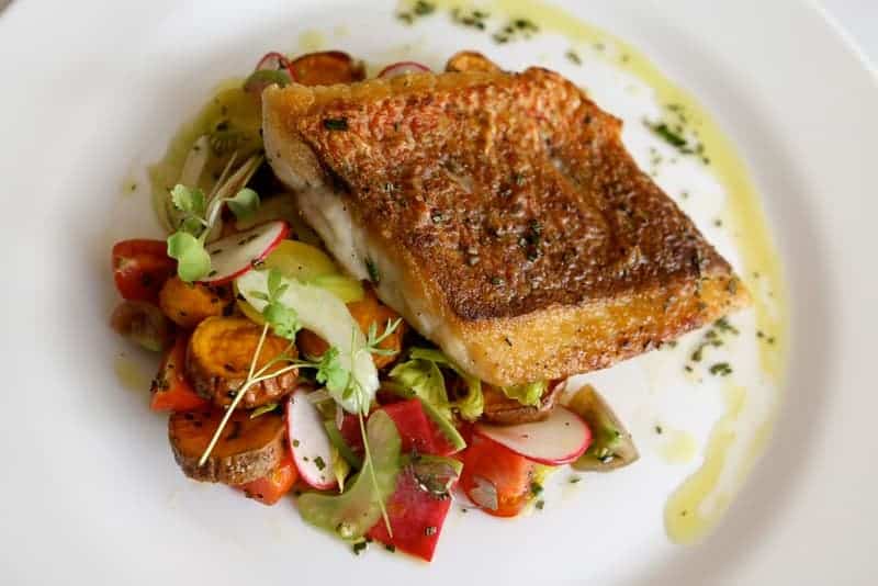 pan fried codfish on a white plate with salad